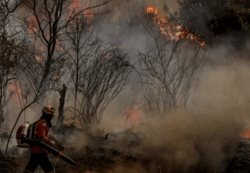 Foto:Marcelo Camargo / Agência Brasil